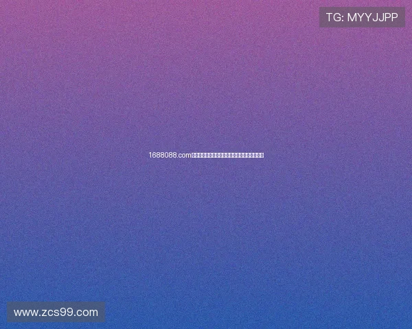 1688088.com最新资讯平台助您轻松掌握行业动态与实用信息